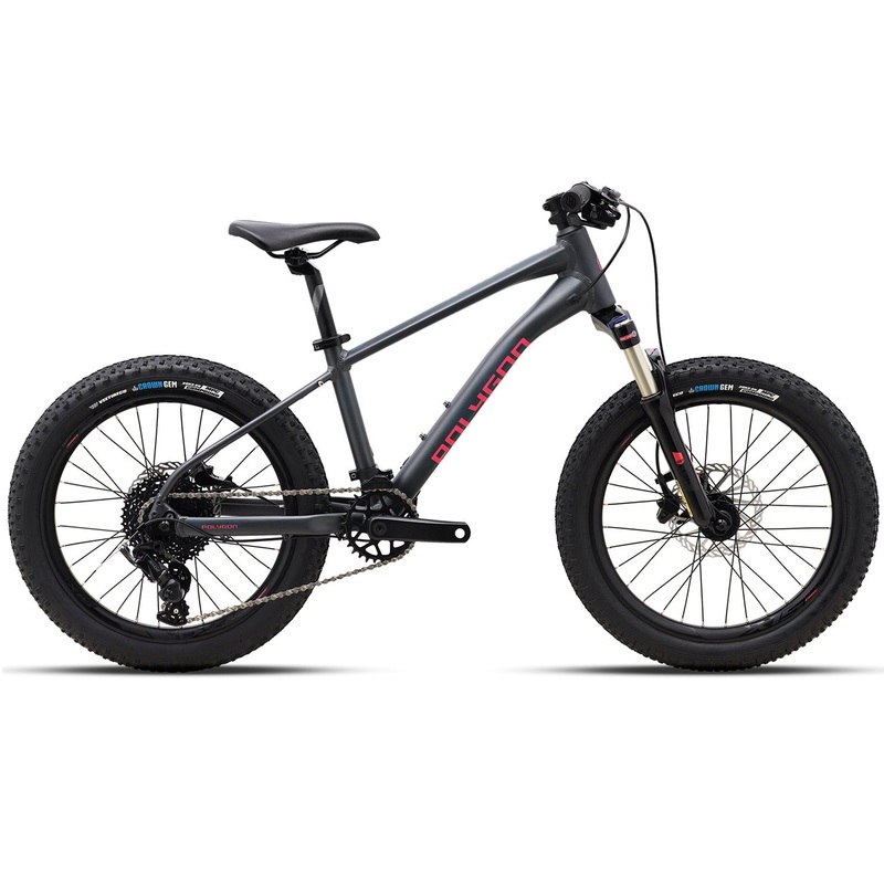Polygon Xtrada 20 - Kids Mountain Bike