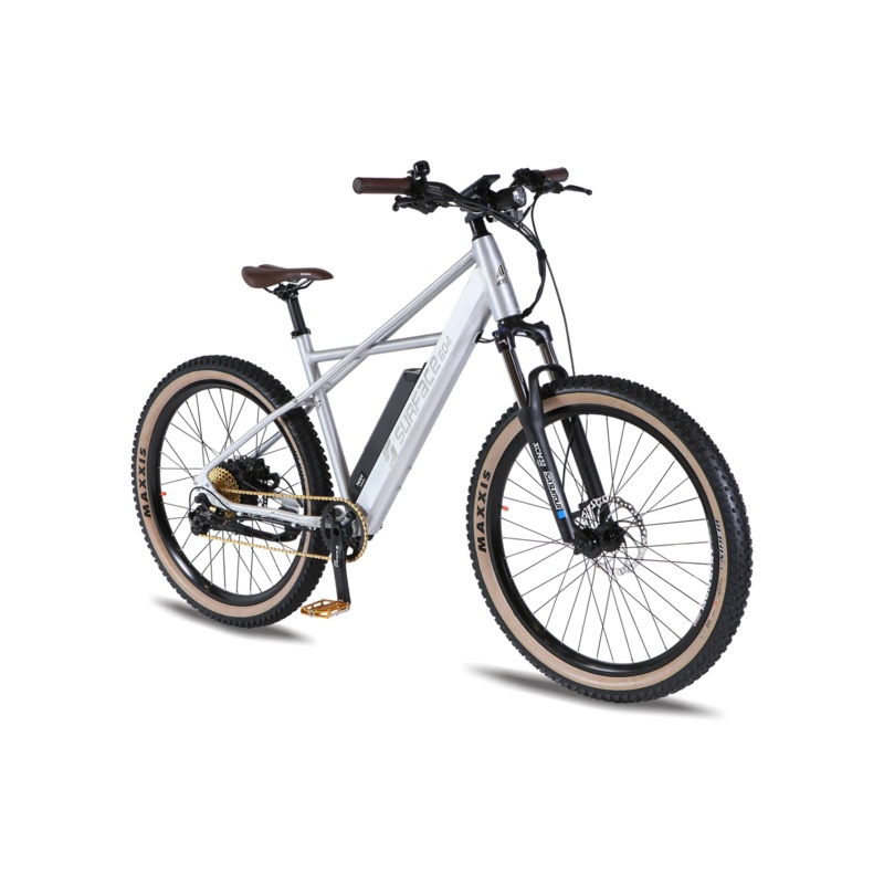 Surface 604 Quad 20Ah Mountain Electric Bike