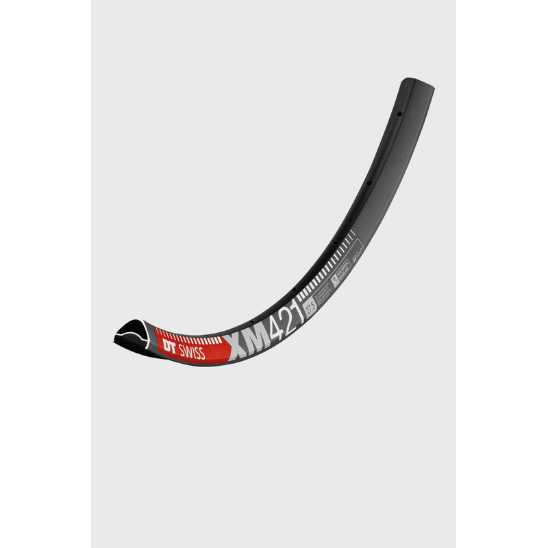 DT Swiss XM 421 Rim