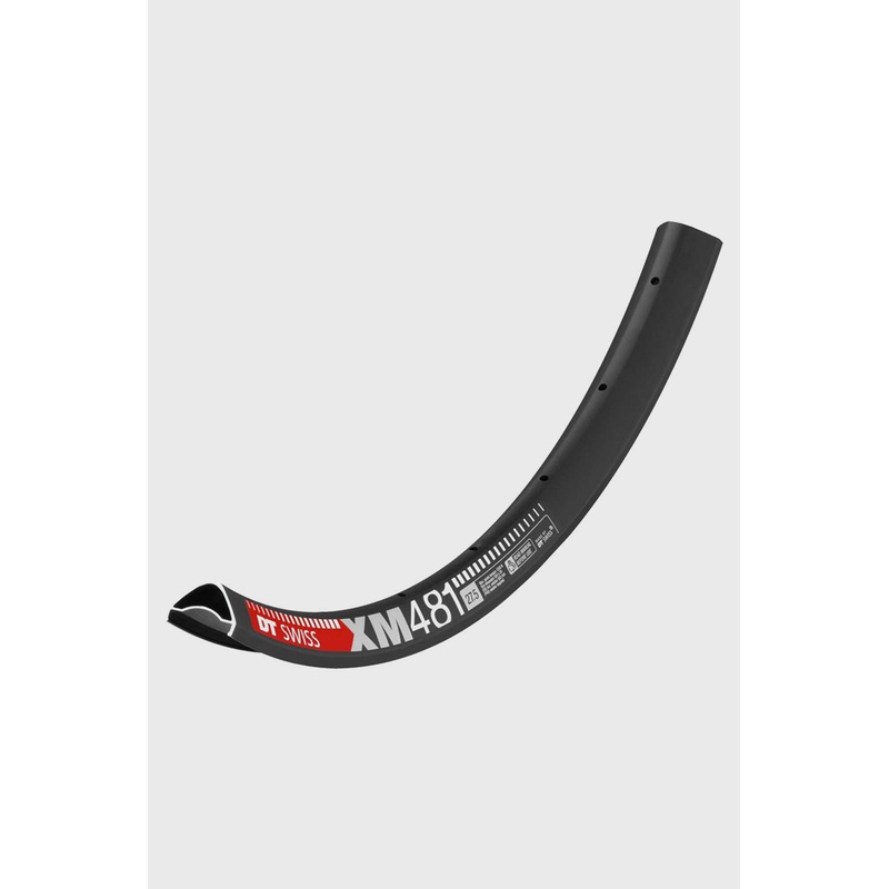 DT Swiss XM 481 Rim