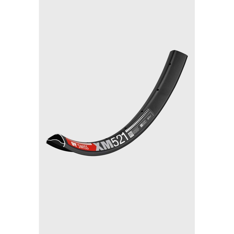 DT Swiss XM 521 Rim